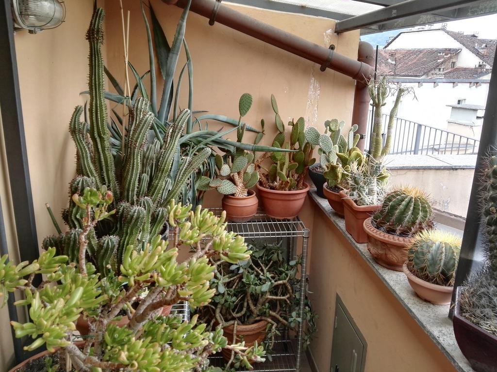 토리노 A Casa Di Gio B&B 외부 사진