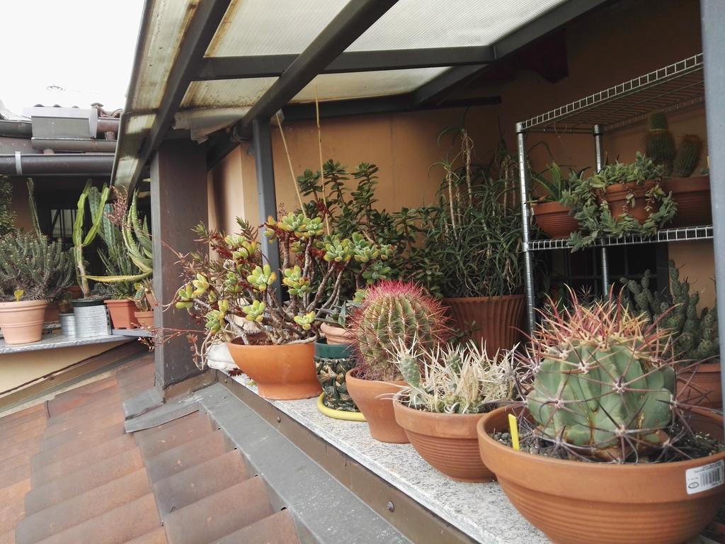 토리노 A Casa Di Gio B&B 외부 사진