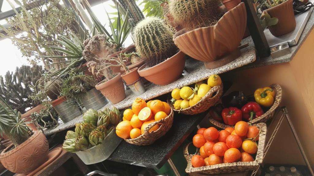토리노 A Casa Di Gio B&B 외부 사진